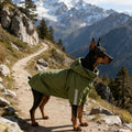 Green Rain Jacket